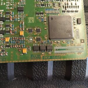 WhatsApp Image 2026-03-02 at 13.21.05