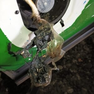 WhatsApp Image 2026-03-02 at 13.25.53 (1)