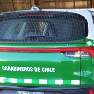 WhatsApp Image 2026-03-02 at 13.25.53 (2)